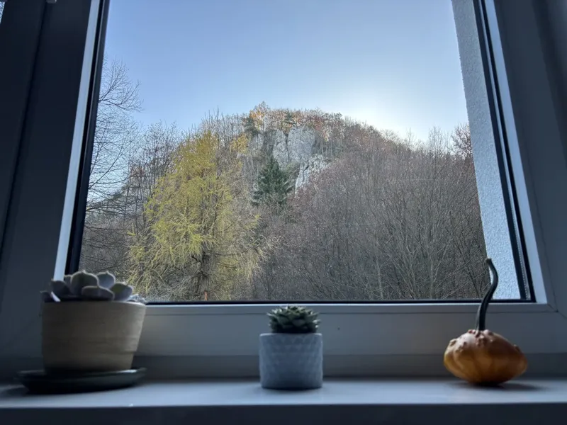 Widok z okna na jurajskie skały – Dolina Będkowska